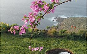 Willkommen Im Paradies - Welcome In Paradise - Bienvenidos Al Paraiso
